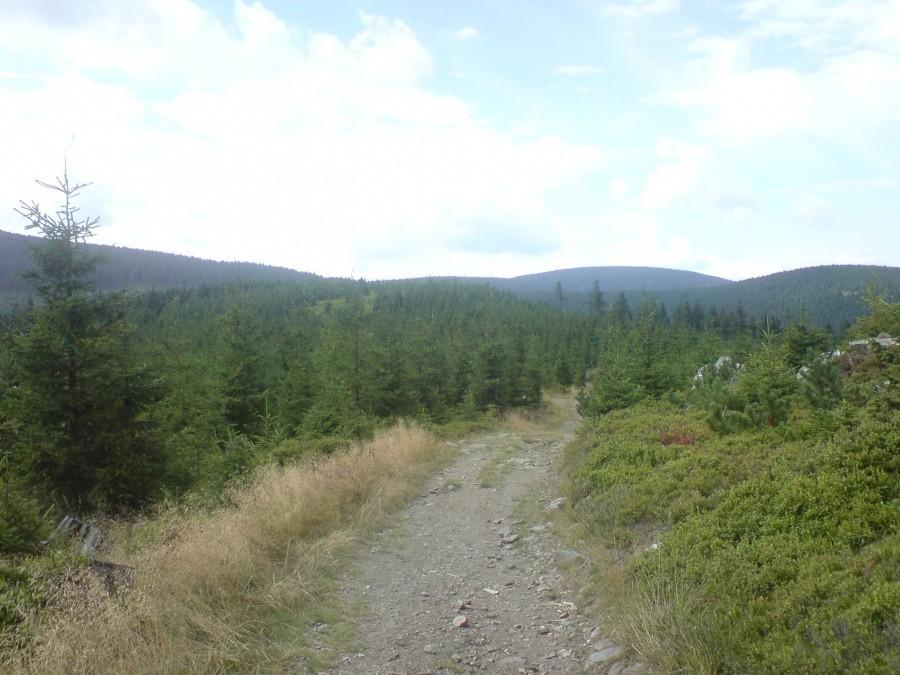 górski widok