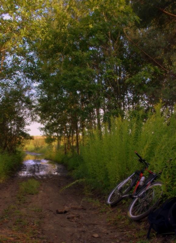 Wczorajsze miejsce spływu rowerowego