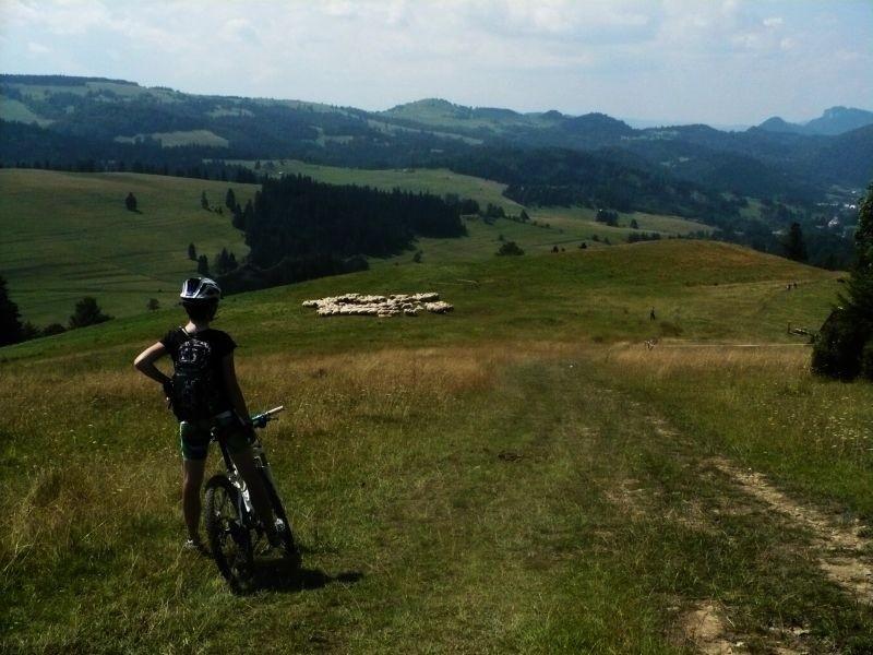 Przepiękny widok z czerwonego szlaku do Białej Wody