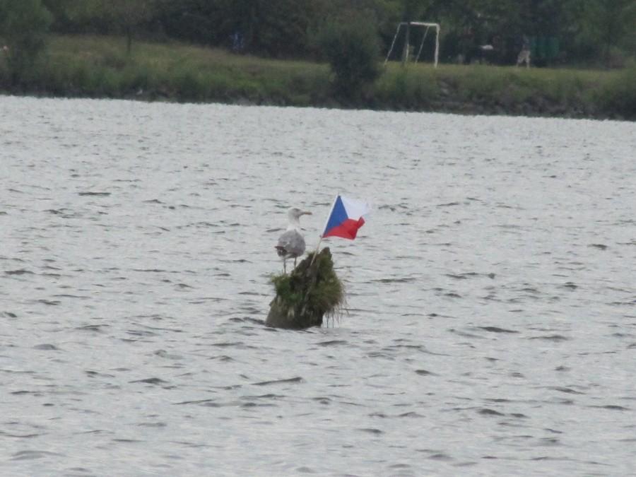 Czeska flaga na jeziorze