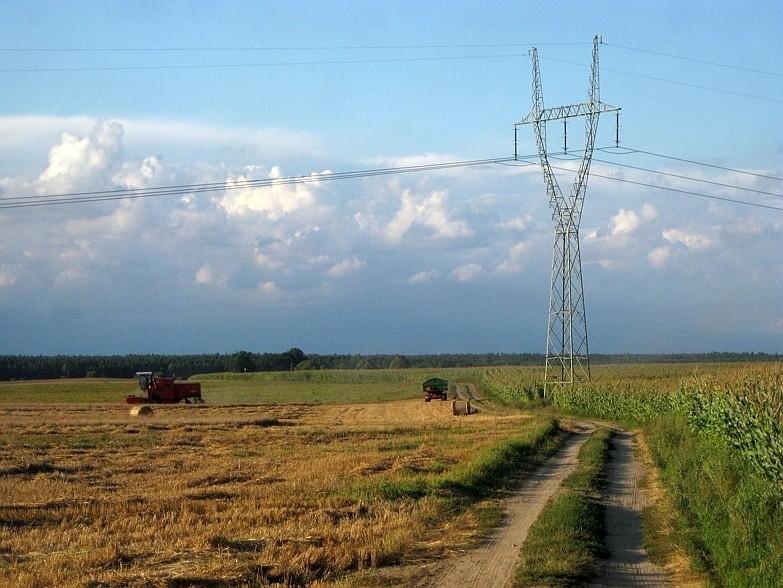 Na polach w Klinach żniwa