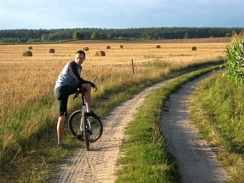 Wojtas na polnej drodze się pręży