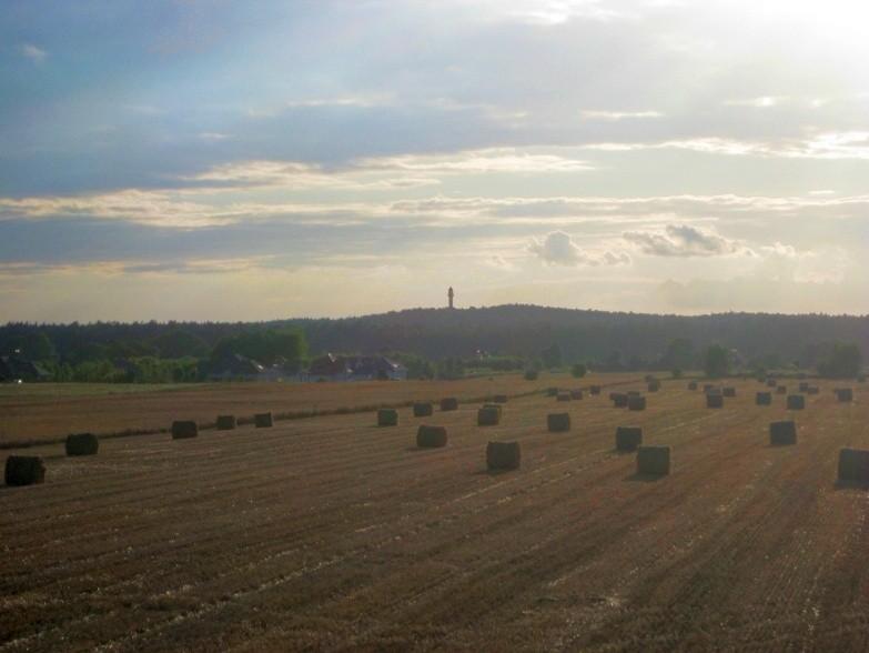 Widok na Dziewiczą Górę