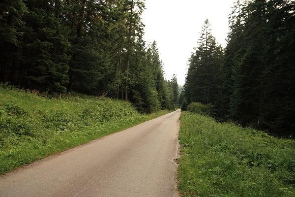 Dolina potoku Kryściów