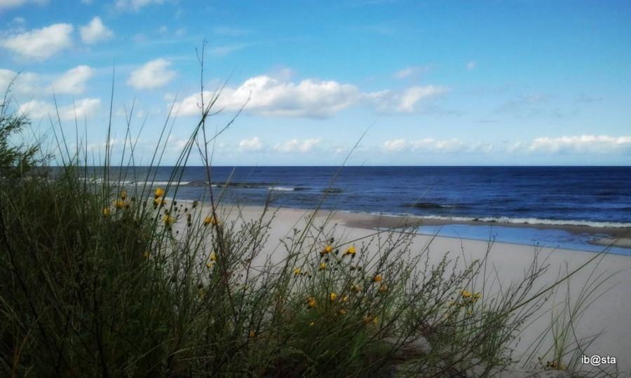 dzika plaża z góry :)