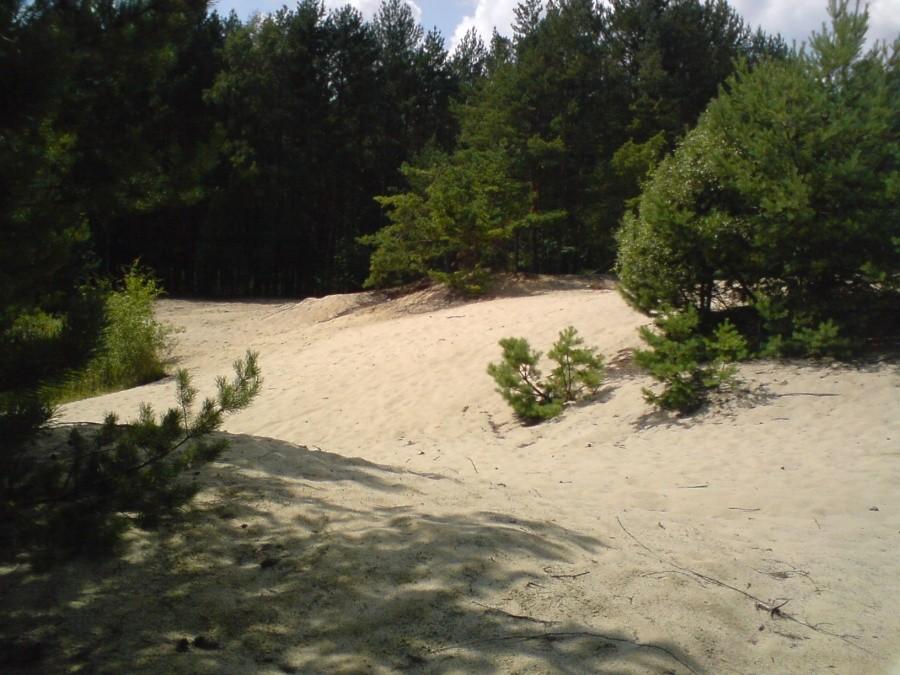 Wędrówka po wydmach