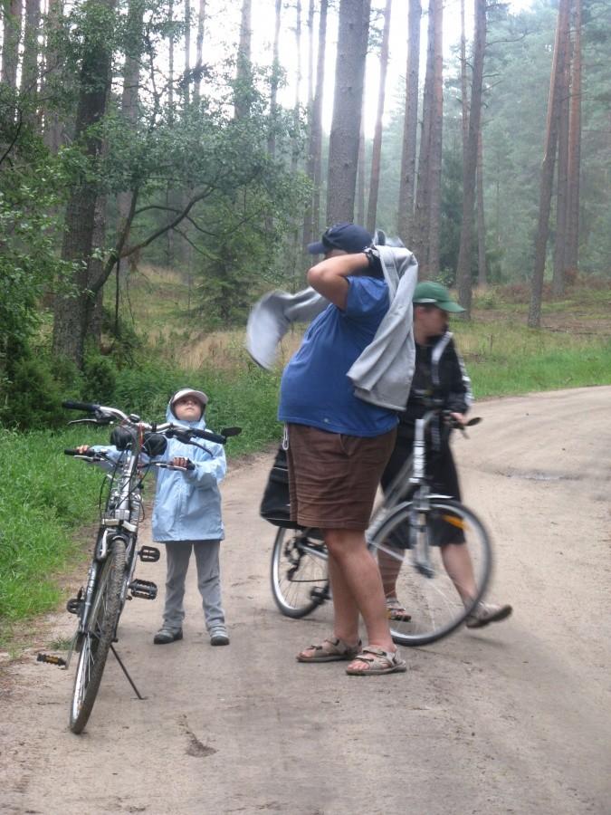 Deszczyk pada