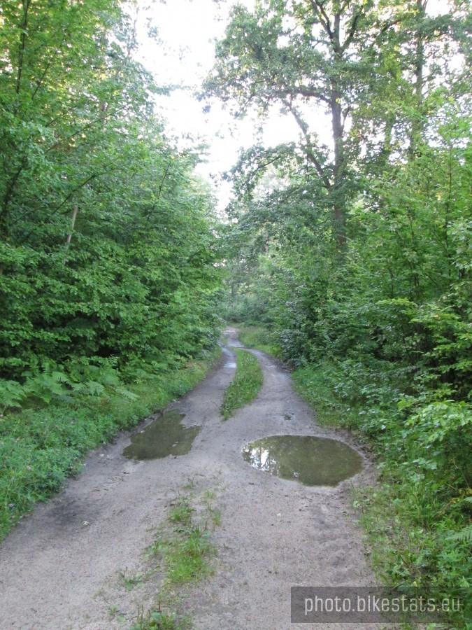 Jadąc do Kartuz