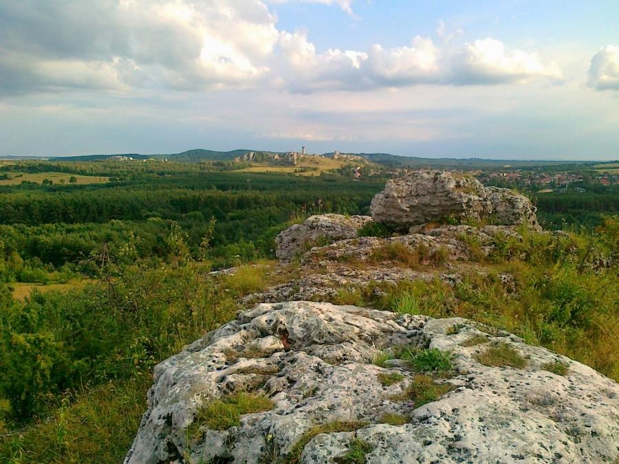 Widok na zamek w Olsztynie z Gór Towarnych.