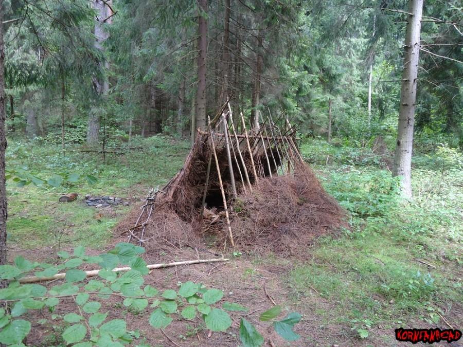 Szałas w puszczy