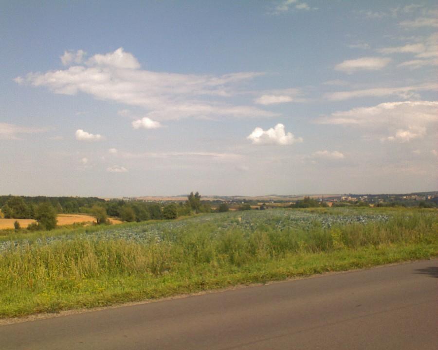 Zdjęcie z wycieczki rowerowej