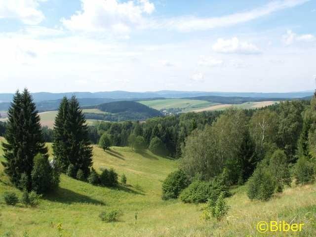Ostatnie spojrzenie na czechy