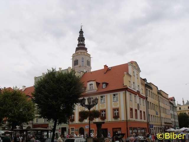 Ratusz w Świdnicy