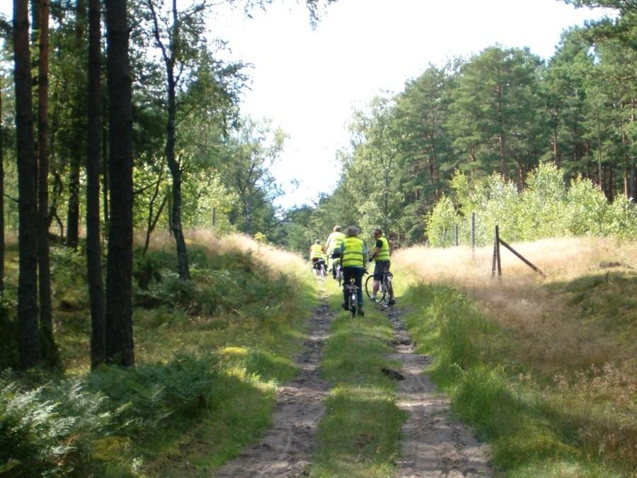 15 Rajd Kociewsko-Borowiacki. Rowerzyści na ścieżce leśnej. Trasa rowerowa do gminy Kaliska.