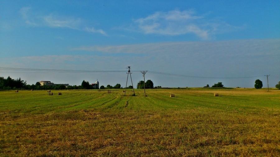Widok na pole koło Janowca