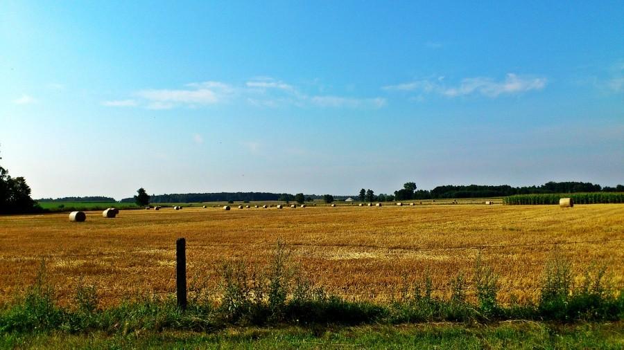 Mazowieckie widoki