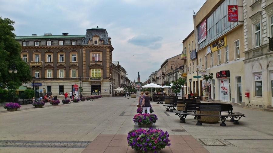 W Radomiu na Żeromie