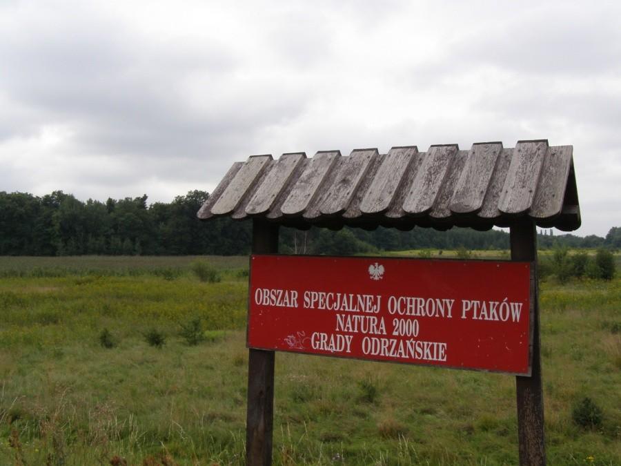 Grądy Odrzańskie