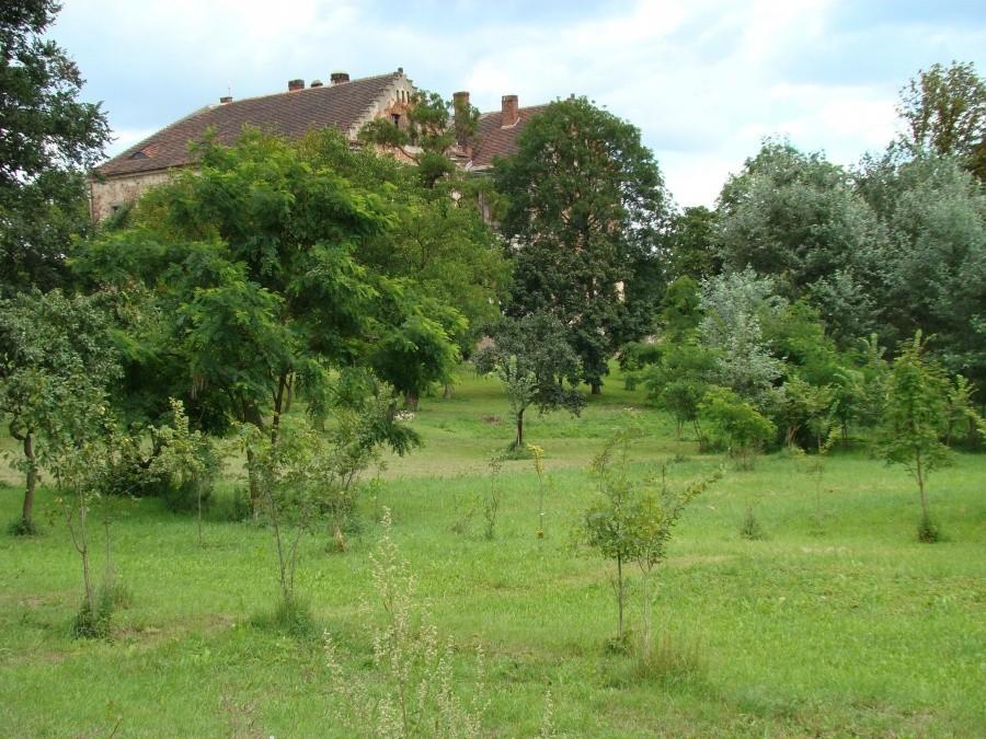 Pałac z XVIII w. w Kotli
