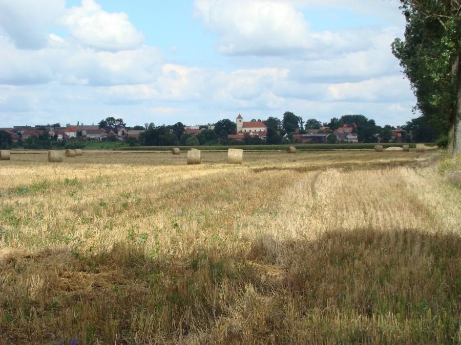 Kotla, wieś gminna w woj. dolnośląskim