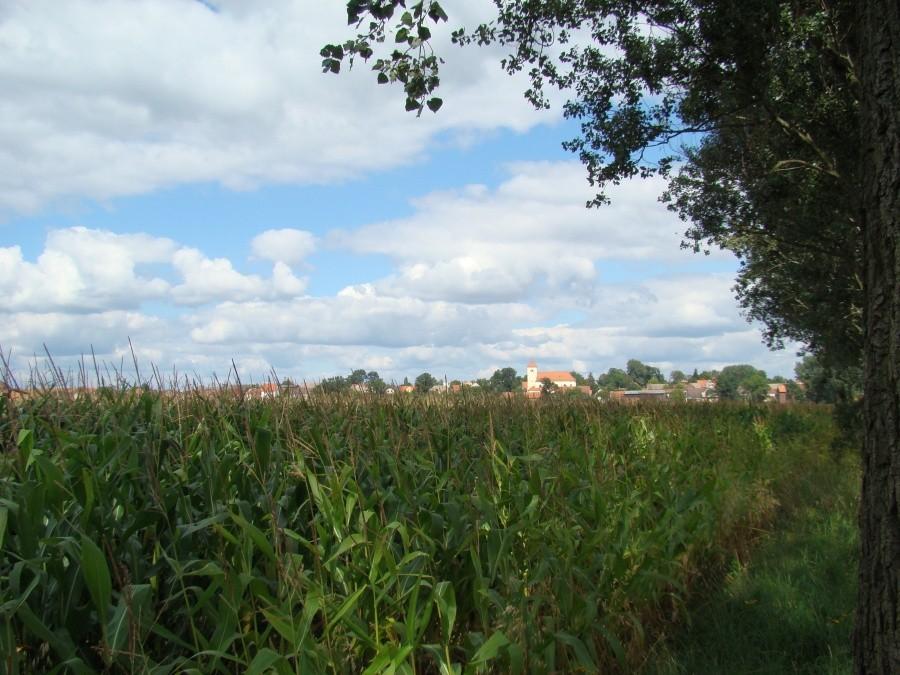 Kotla - widok od strony Kozich Dołów