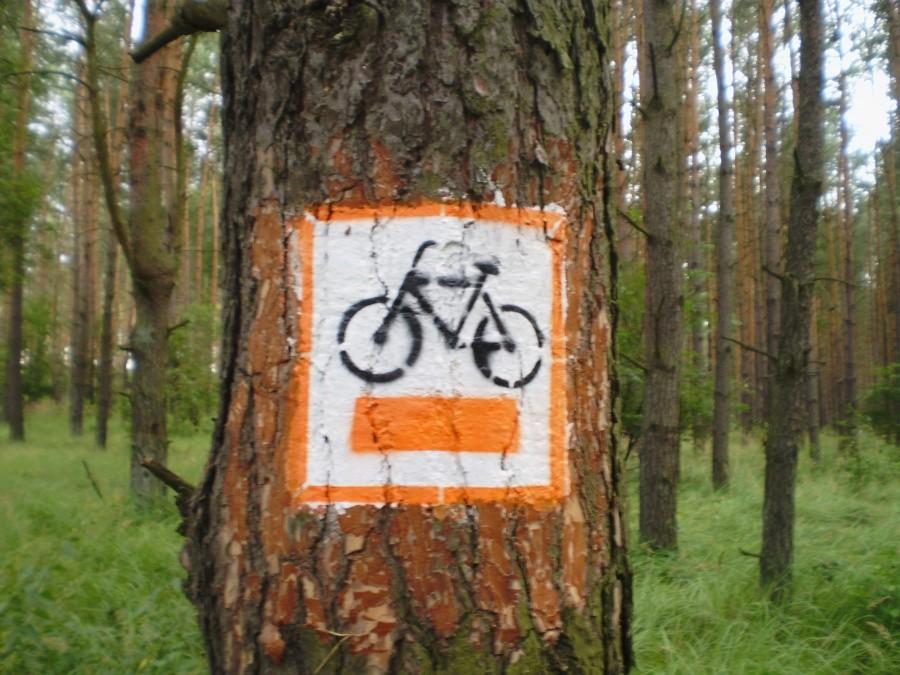 To oznakowanie będzie mi się śnić po nocach :)