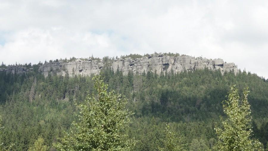 strzeliniec wielki karłów