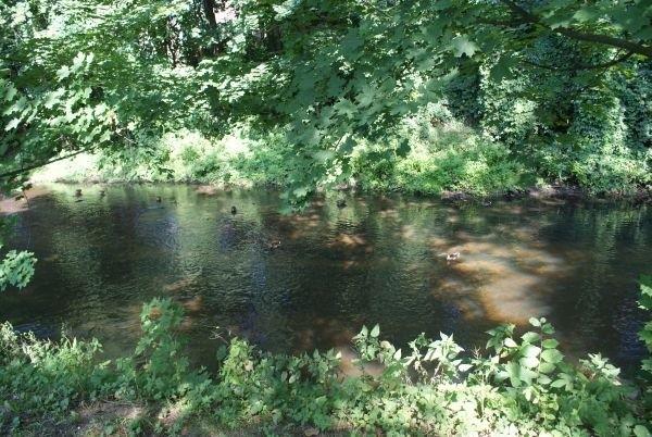 nad Wolbórką
