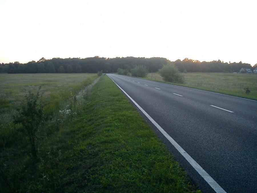 sarna na maślicach