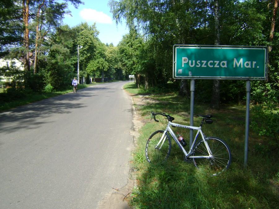 W Puszczy Mariańskiej