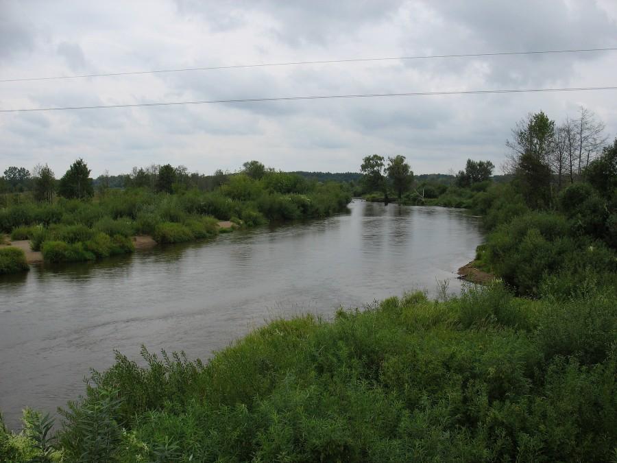 Liwiec w ok. Kamieńczyka