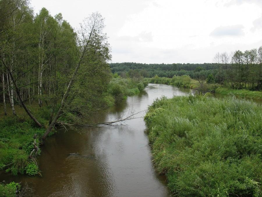 Liwiec w ok. Kamieńczyka