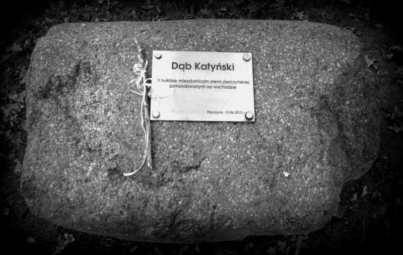 Dąb katyński w Pszczynie