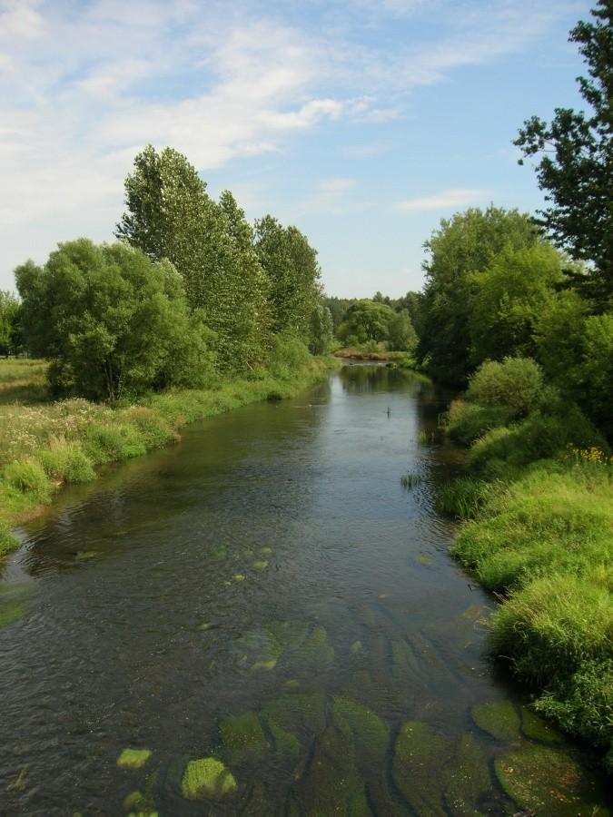Rzeka Liswarta