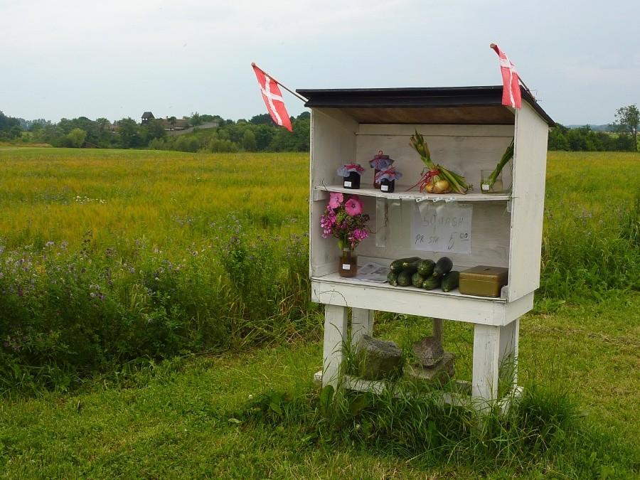 Charakterystyczne przydrożne sklepiki bezobsługowe. W tle widać Centrum Średniowiecza.