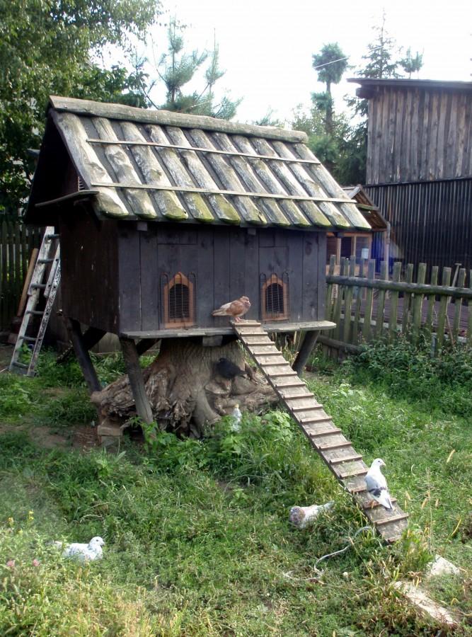 Gołębnik w Przybynowie
