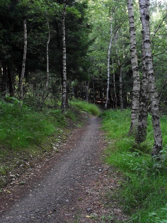 Na singlach pod Smrkem