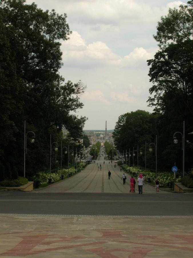 Aleja