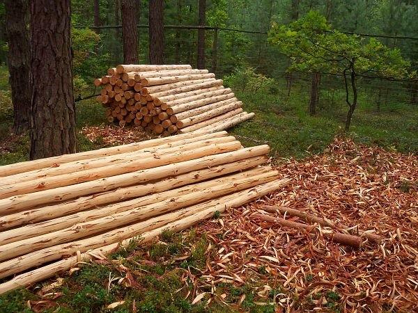 I'm a lumberjack and I'm OK... czy jakoś tak ;)