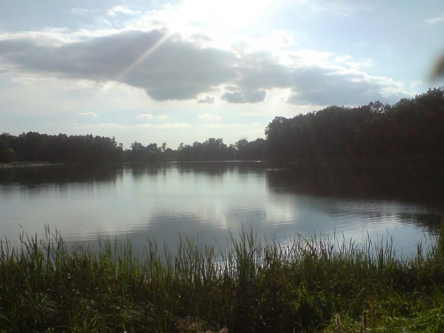 stawy wilczyńskie