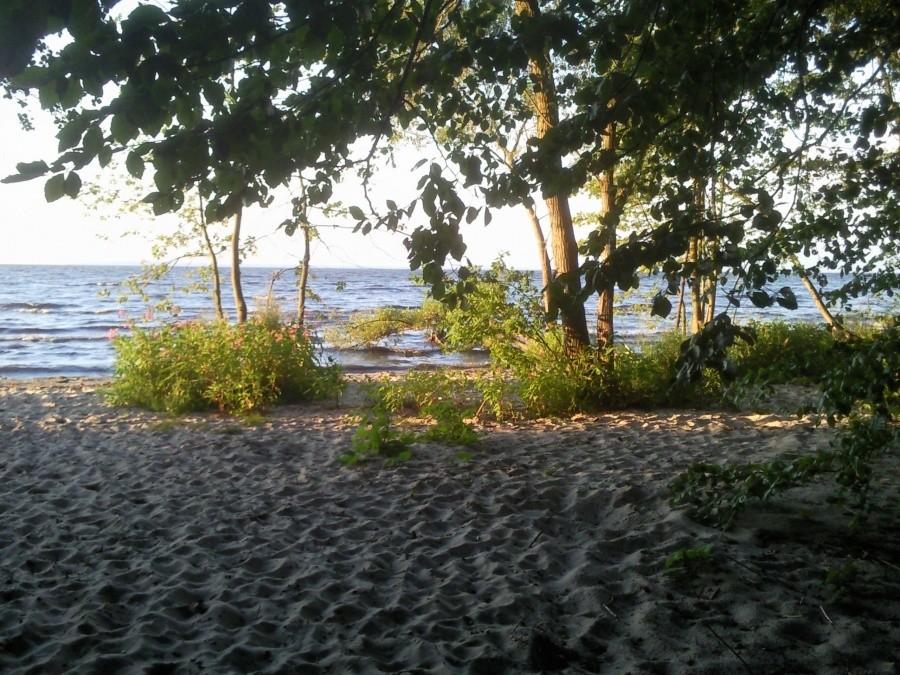 Dzika plaża pod |Trzebieżą