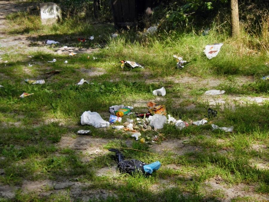 Kącik wypoczynkowy przy drodze nr 115 pod Dobieszczynem - dowody kultury.