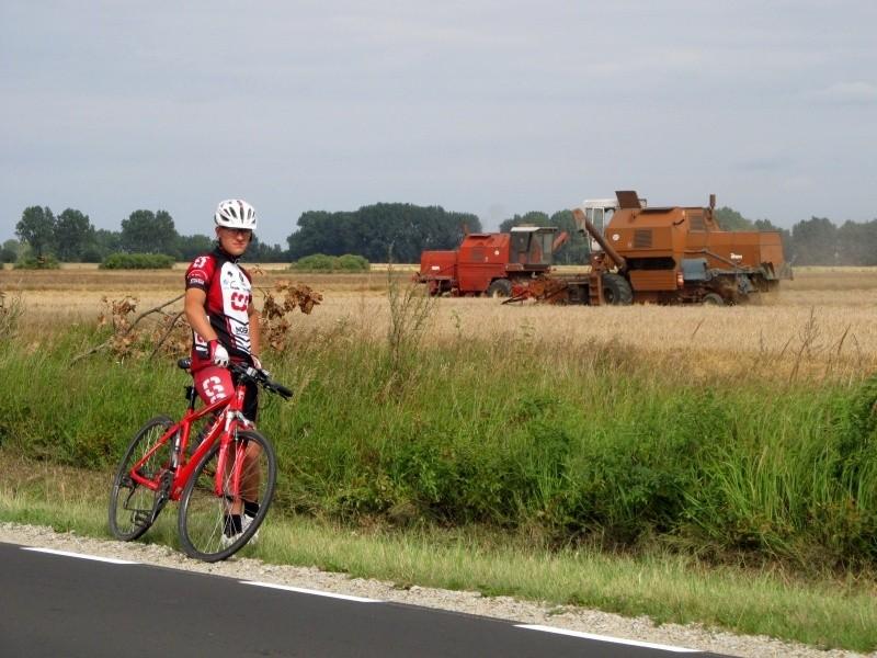 końcówka żniw obfituje w bizony na polach
