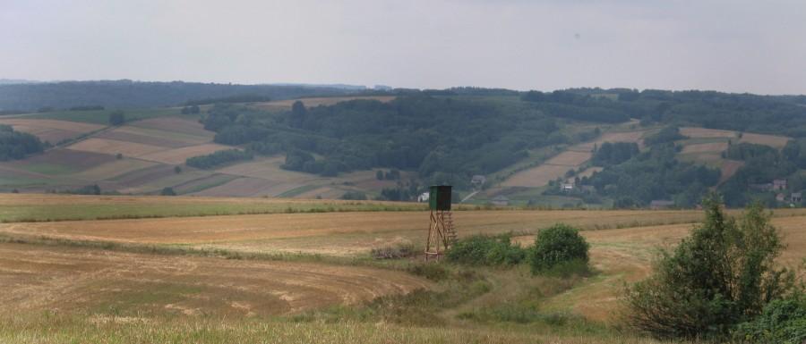 Podkarpacki Styl 1 (zjazd do Iwierzyc)