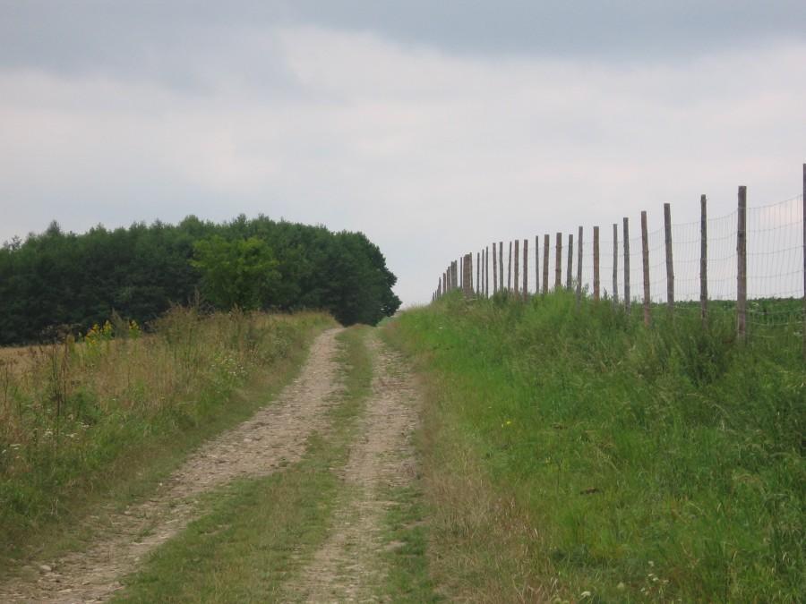 Ta piękna droga była oznaczona na mapie jako asfaltowa :)