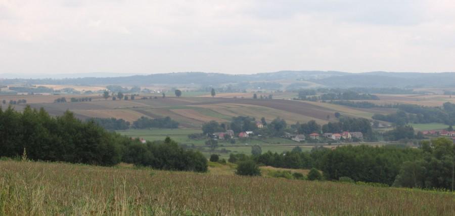 Podkarpacki Styl 2 (okolice Bystrzycy, widok w kierunku Wielkiego Lasu, Grochowicznej)