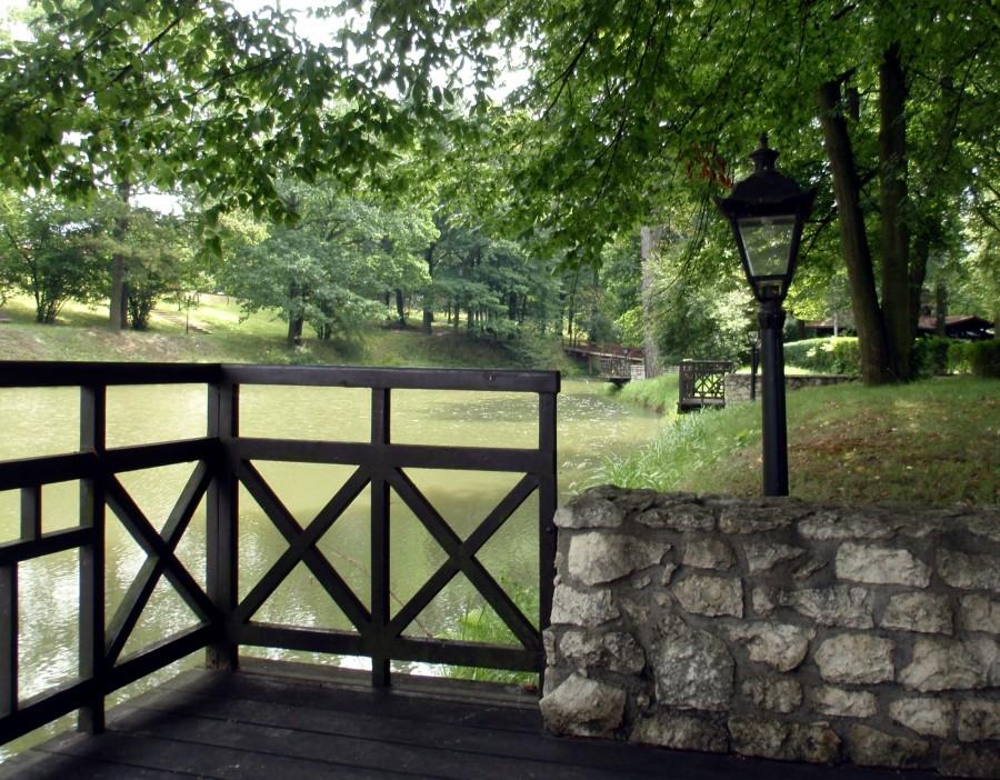 Park przypałacowy w Czarnym Lesie