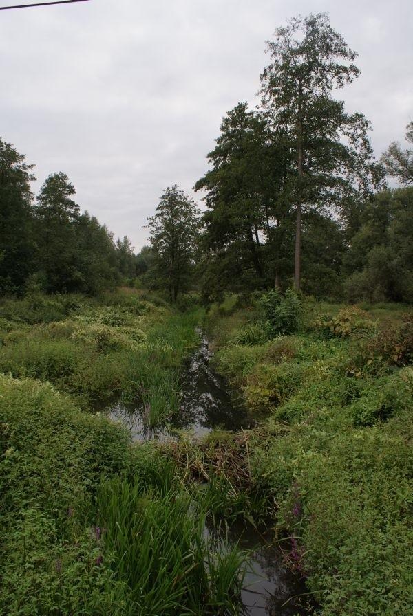 realna widokówka