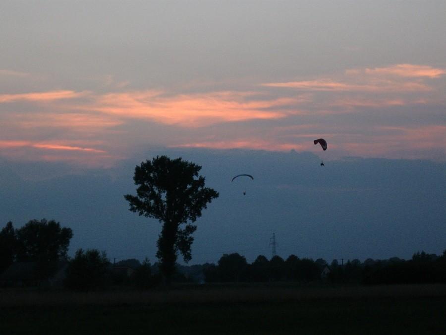 Siakieś ptaszyska.