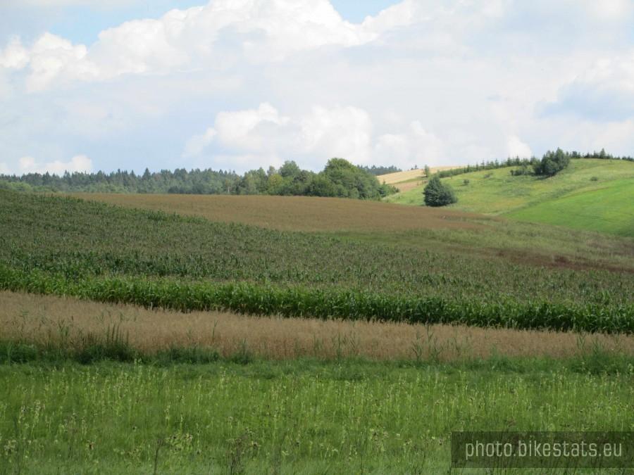 Okolice wsi Ręboszewo